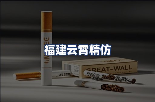 福建云霄精仿